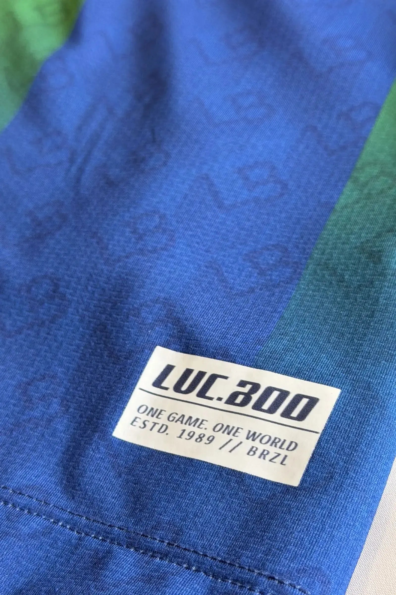 Camiseta Copa Brasil em Malha DRY Esportiva Leve Respirável e Confortável com Estampa Vibrante Para Torcer com Estilo e Liberdade. 99765 LucBoo Infantil Menino