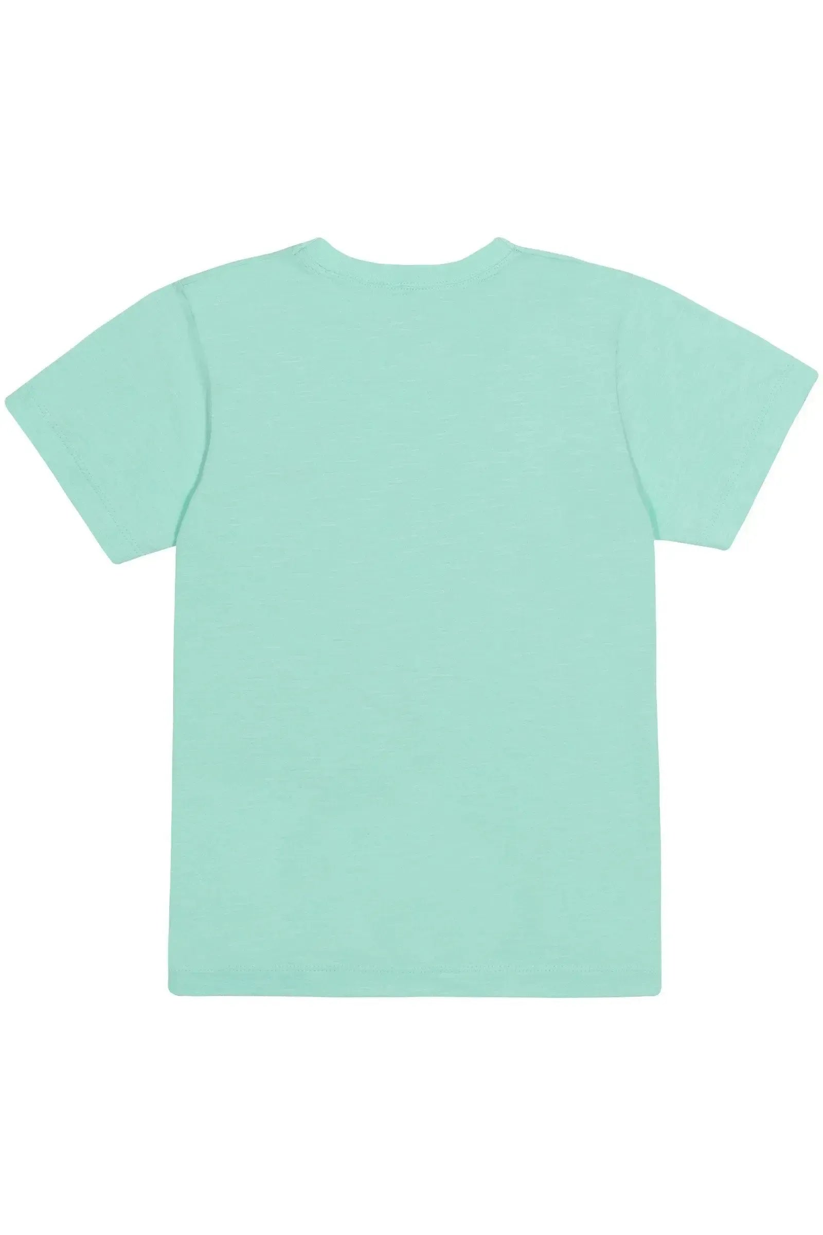 Camiseta em Malha Flamê 86546 LucBoo Infantil Menino