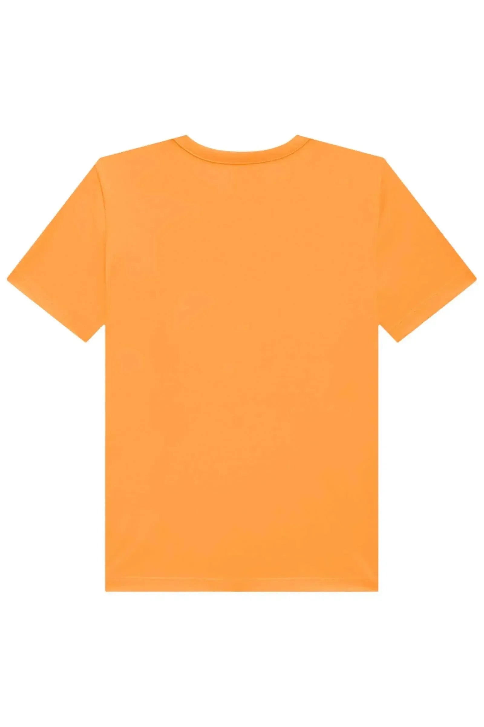 Camiseta em Meia Malha 83279 Johnny Fox Teen Menino
