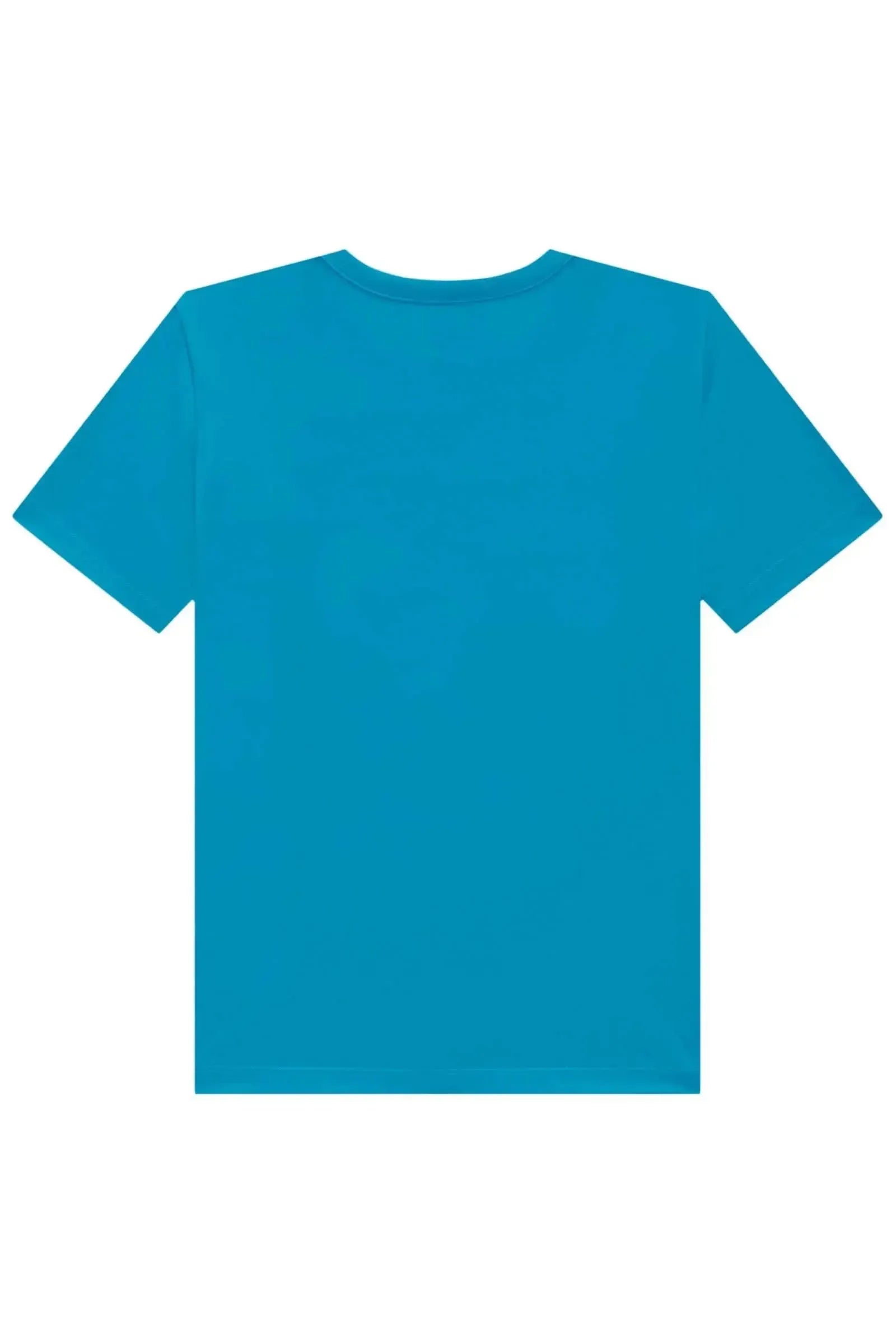 Camiseta em Meia Malha 83280 Johnny Fox Teen Menino
