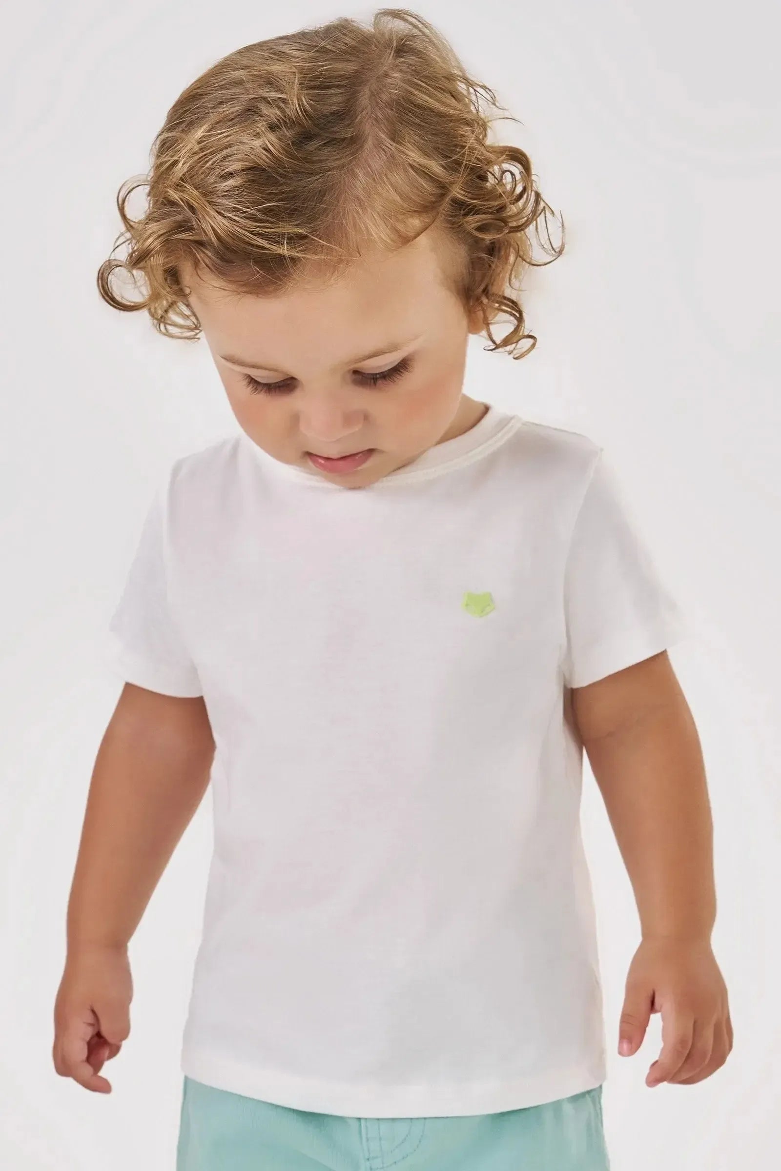 Camiseta em Meia Malha 87680 Johnny Fox Bebê Menino