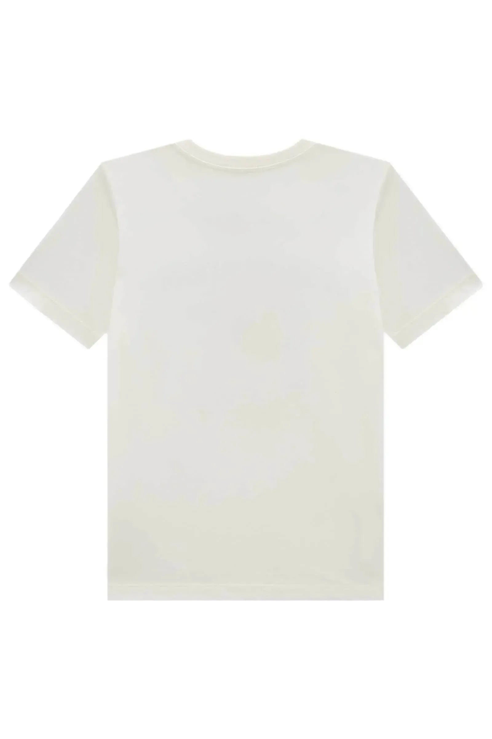 Camiseta em Meia Malha 93378 Johnny Fox Teen Menino