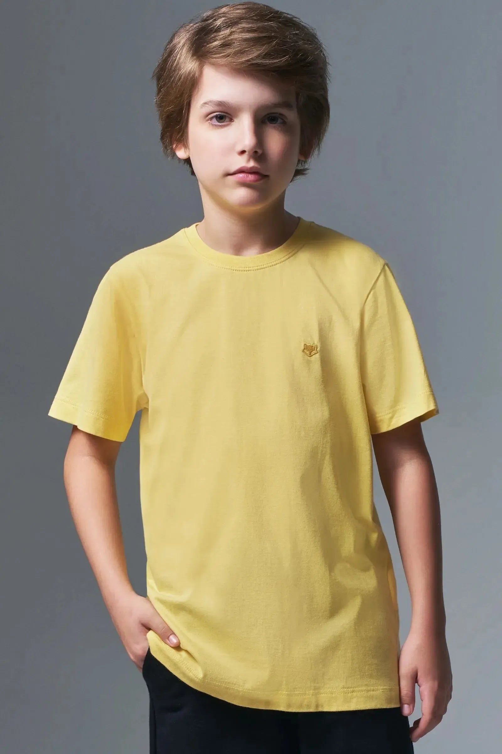 Camiseta em Meia Malha 94464 Johnny Fox Teen Menino