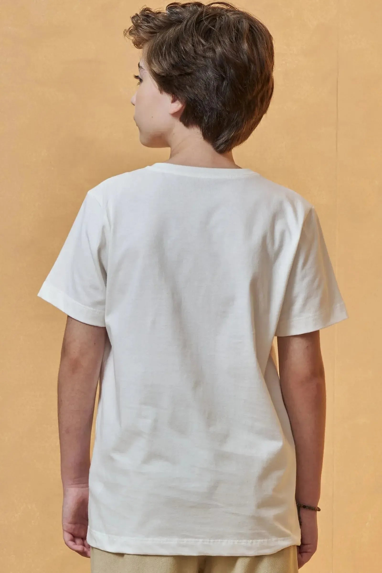Camiseta em Meia Malha 95773 Johnny Fox Teen Menino