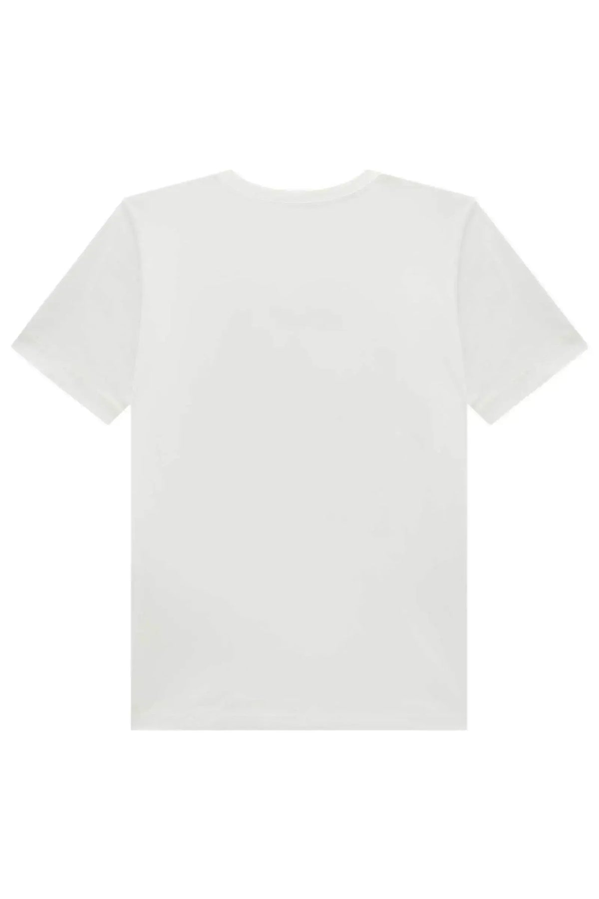 Camiseta em Meia Malha 97792 Johnny Fox Teen Menino