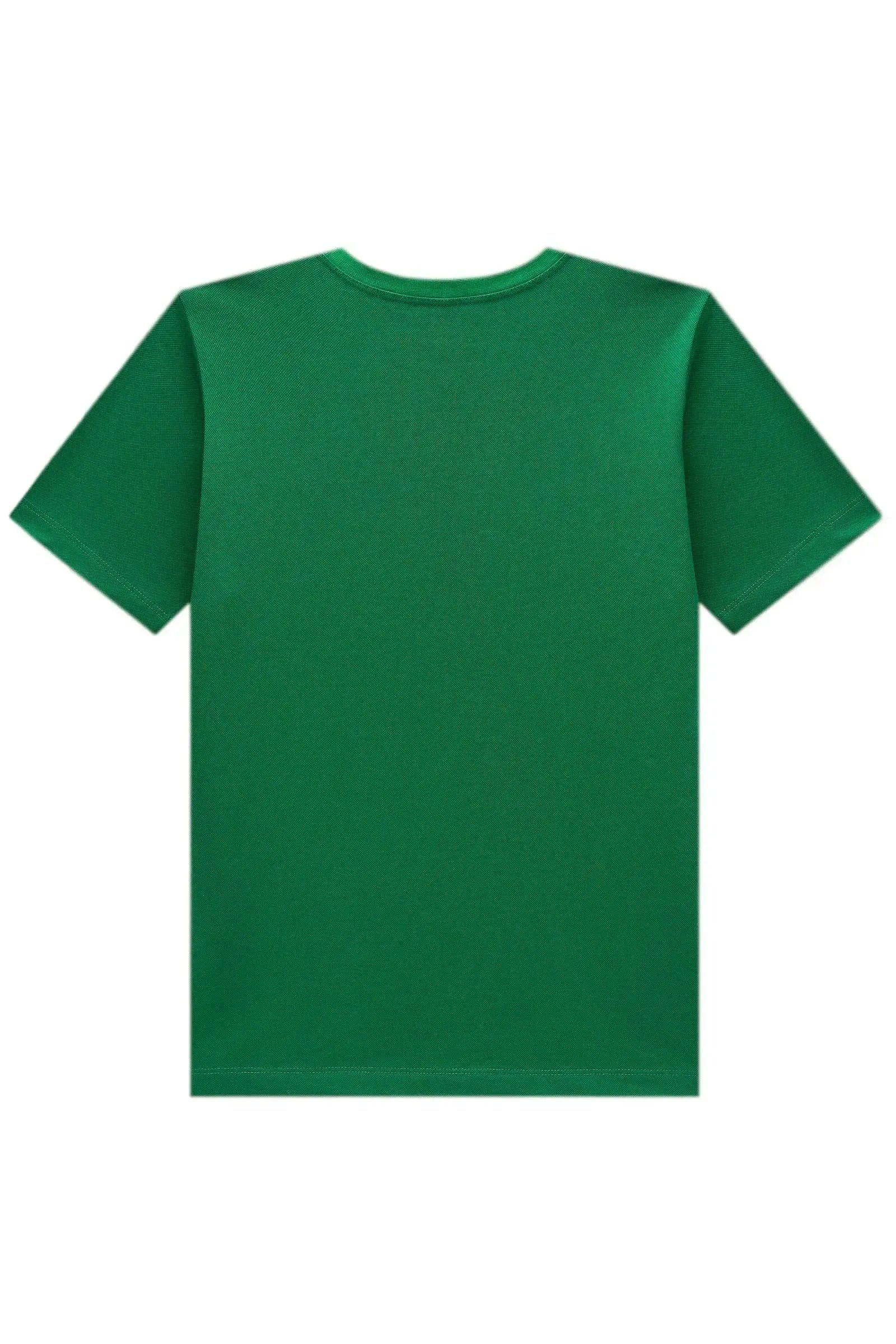 Camiseta em Meia Malha 97808 Johnny Fox Teen Menino