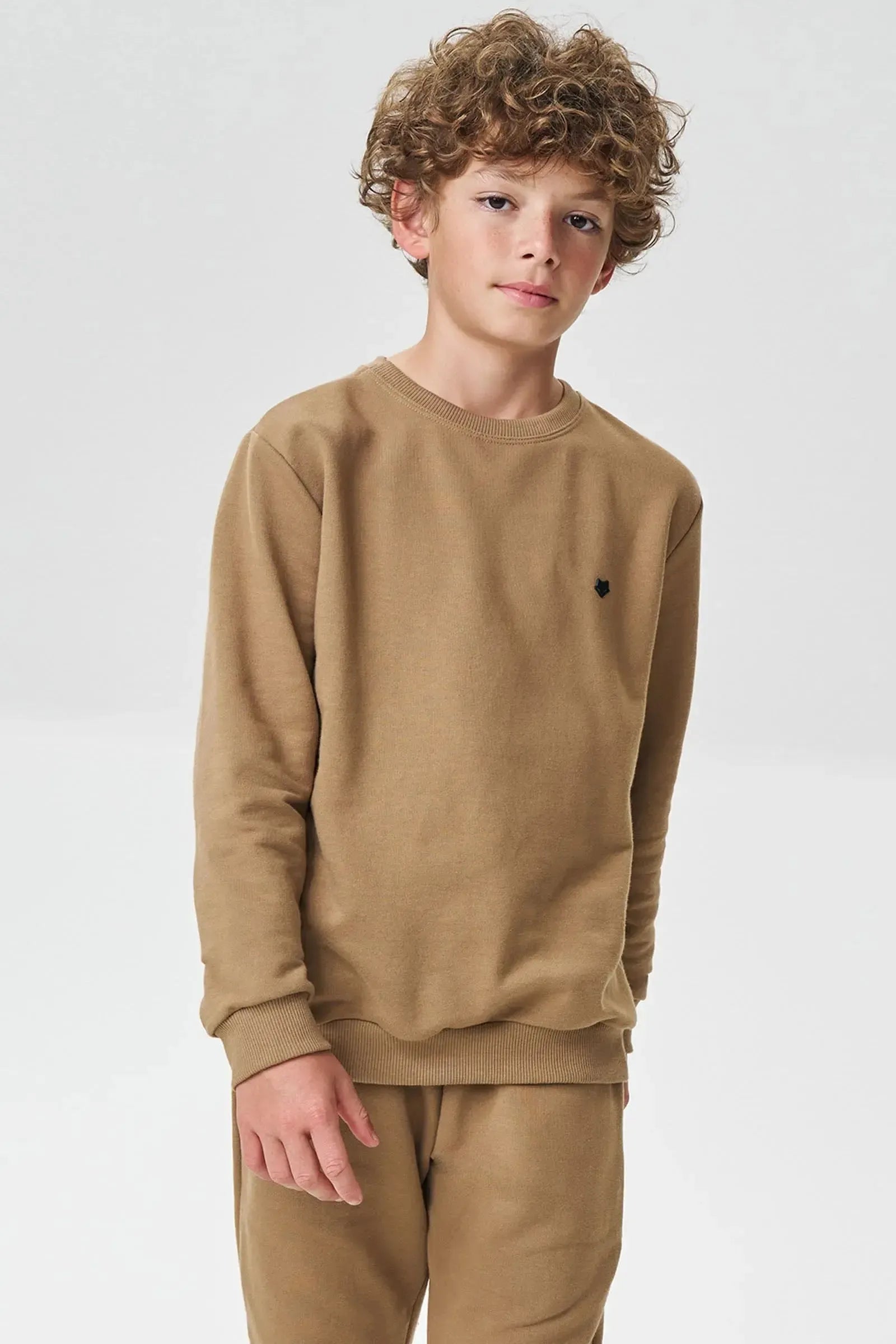 Blusão em Moletom sem Pelúcia 93086 Johnny Fox Teen Menino