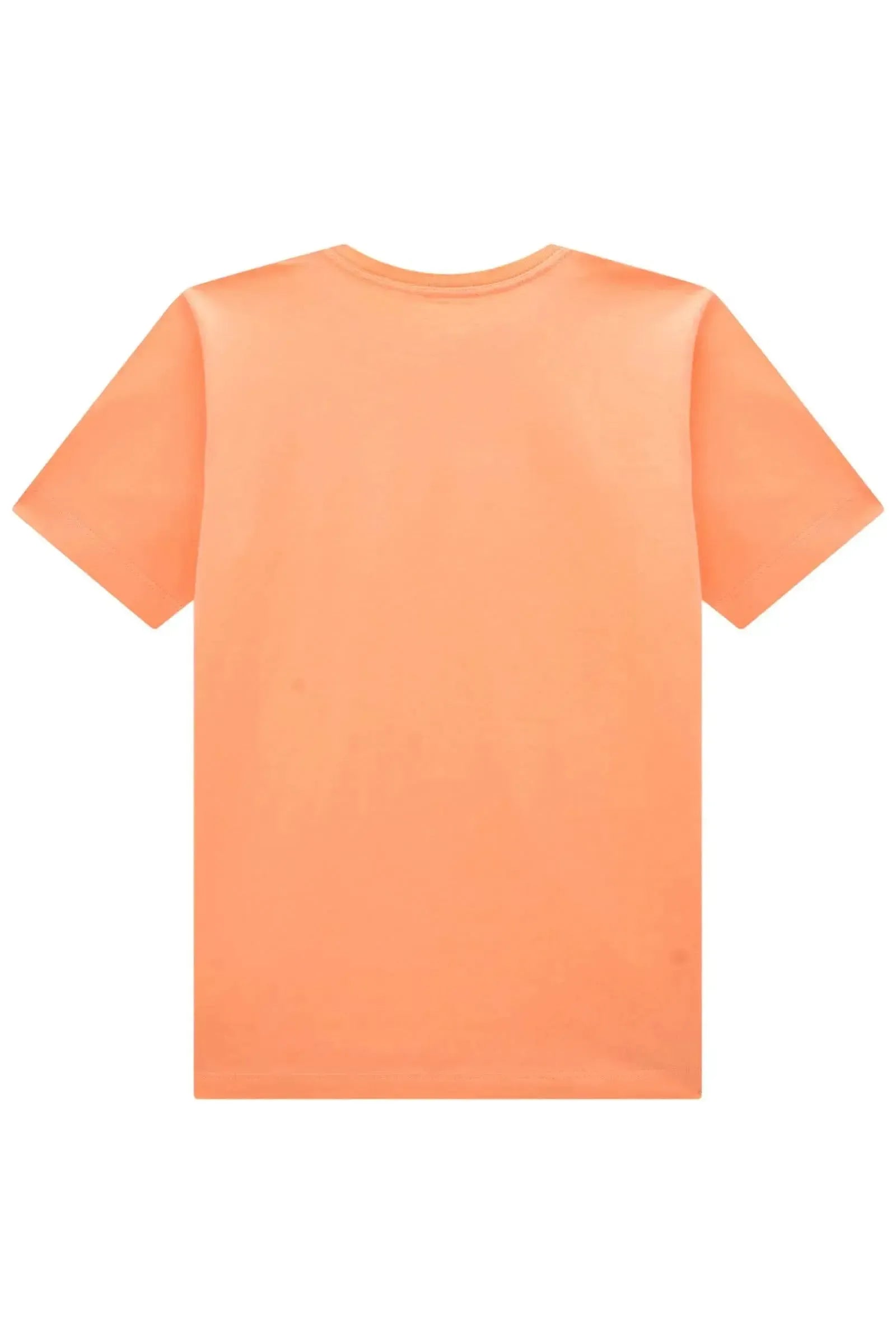 Camiseta em Meia Malha 86829 Johnny Fox Teen Menino