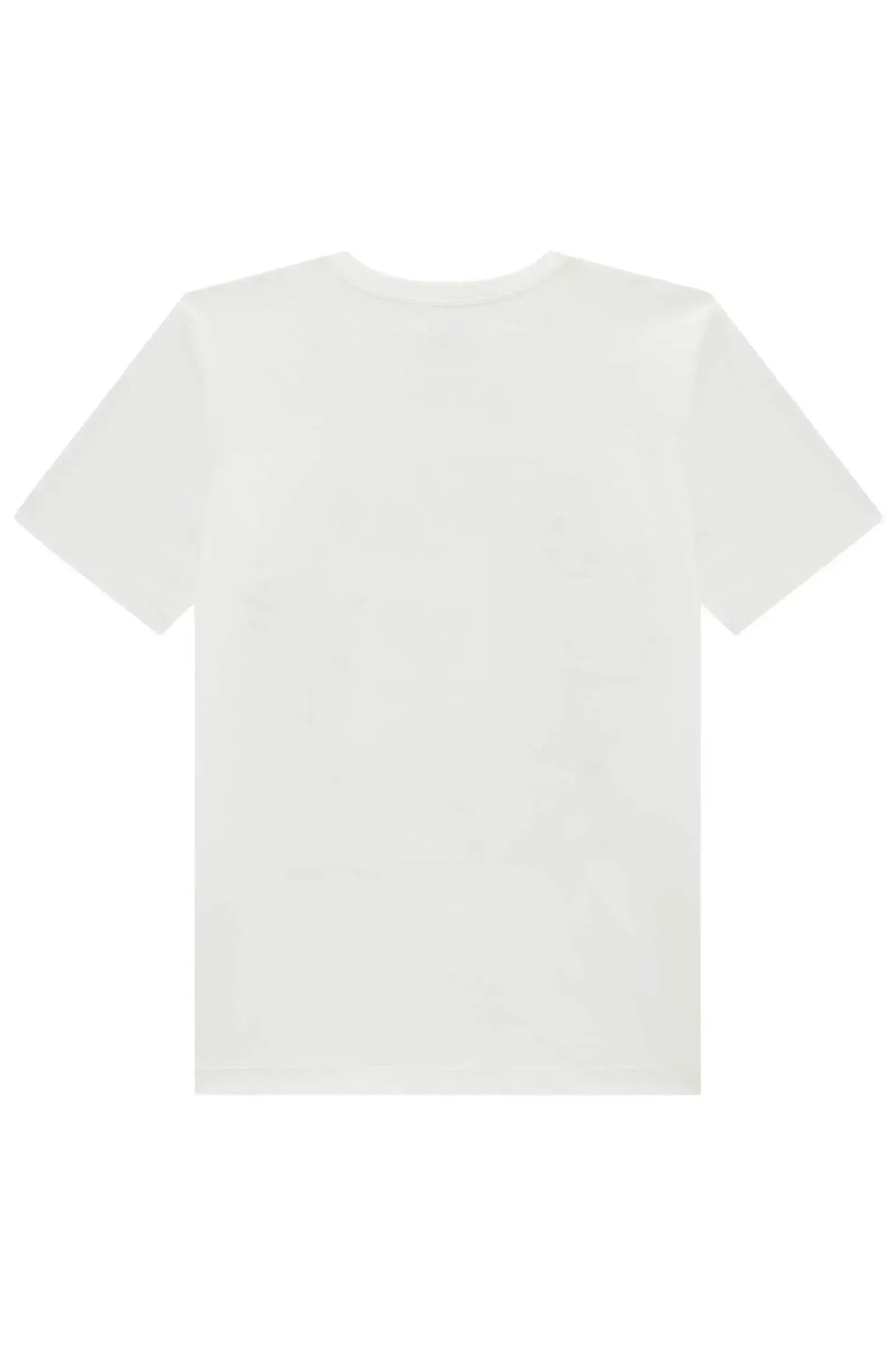 Camiseta em Meia Malha 94300 Johnny Fox Teen Menino