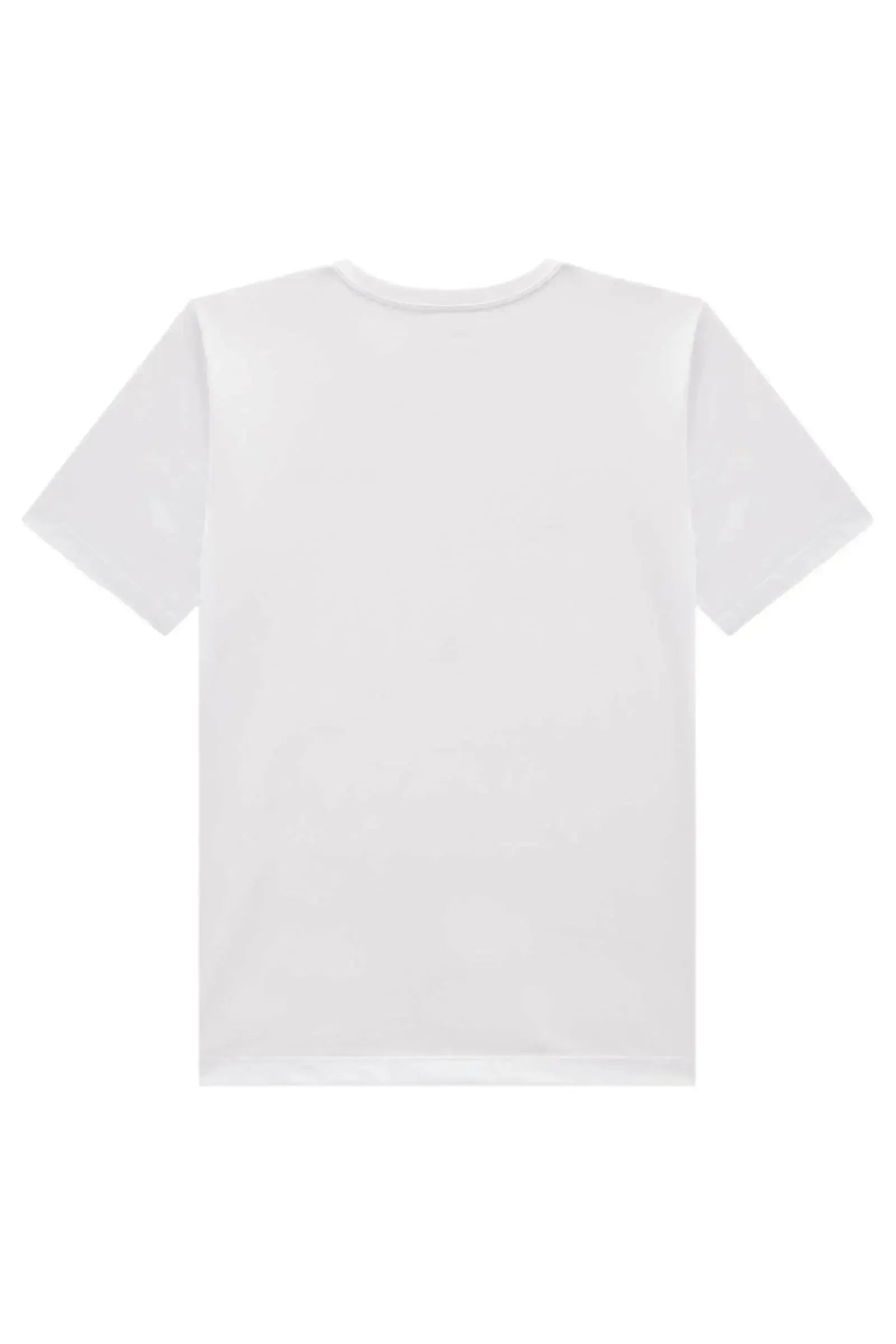 Camiseta em Meia Malha 96637 Johnny Fox Teen Menino