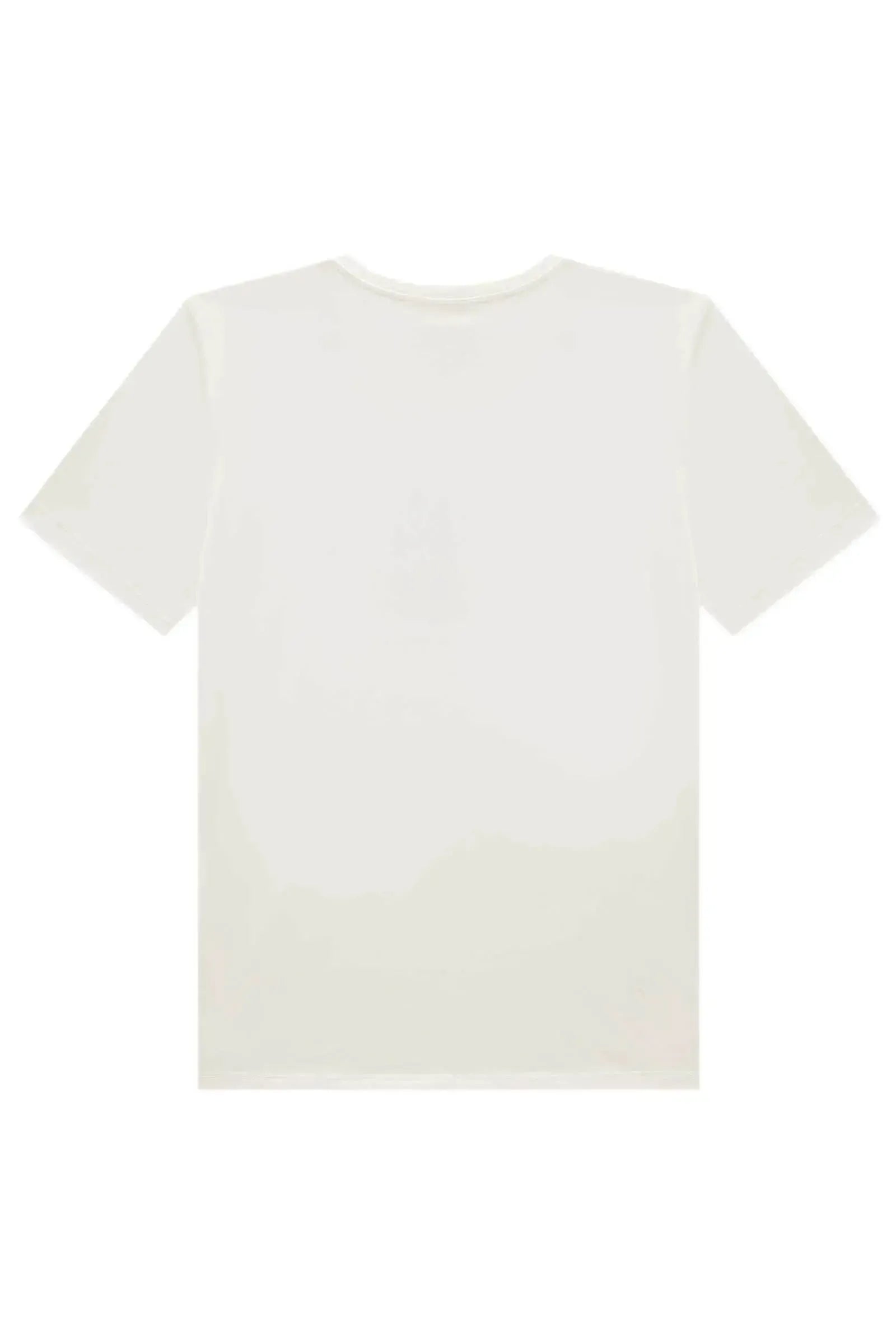 Camiseta em Meia Malha 96662 Johnny Fox Teen Menino